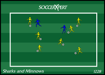 How to Play Sharks and Minnows Game Anywhere