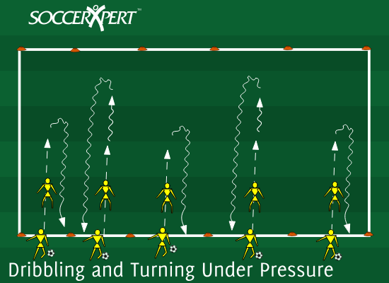 Dribbling and Turning with Pressure on the Back