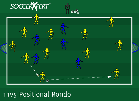 11v5 Positional Rondo