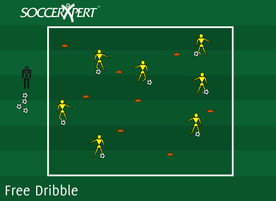Free Dribble