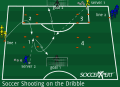 Two-Goal Soccer Shooting Training Session