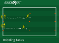 Soccer Dribbling Basics